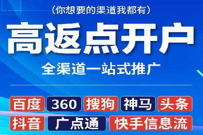 行业专家解析SEM代运营成功案例